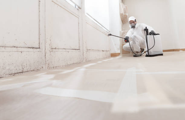 24/7 Emergency Commercial Mold Remediation experts in Bridgeport, PA