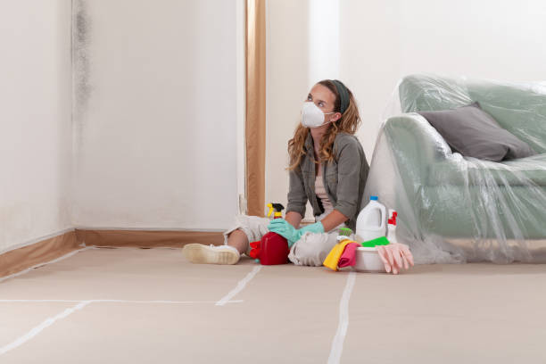 Reliable Commercial Mold Remediation contractor in Bridgeport, PA by WQB Mold Removal